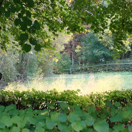 Farm stay Lindegaard Odense